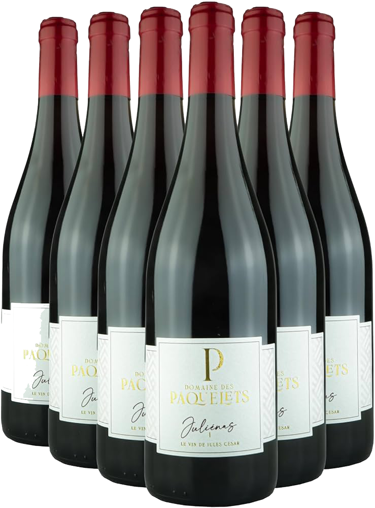 Domaine des Paquelets - Cuvée Classique 2021 | x6