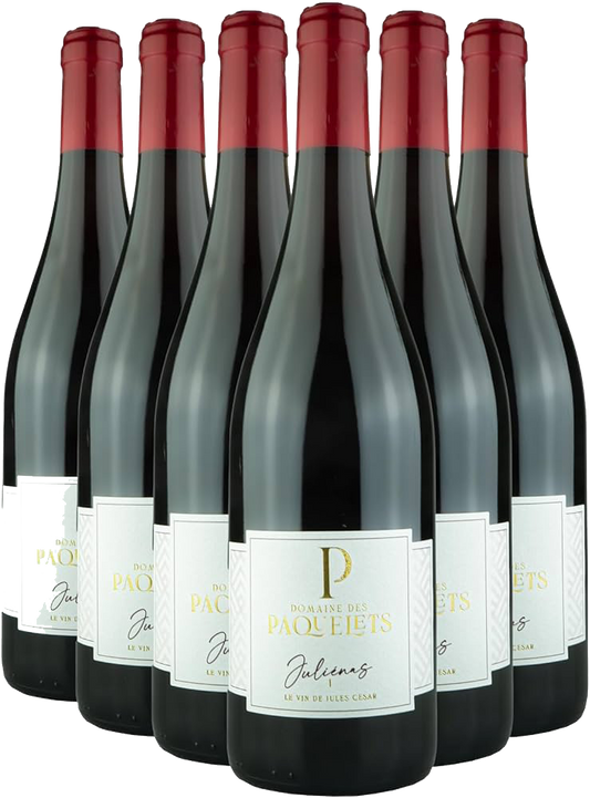 Domaine des Paquelets - Classic Cuvée 2021 | x6